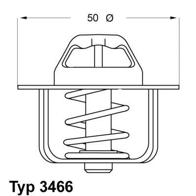 Obrázok Termostat chladenia BorgWarner (Wahler)  346689D