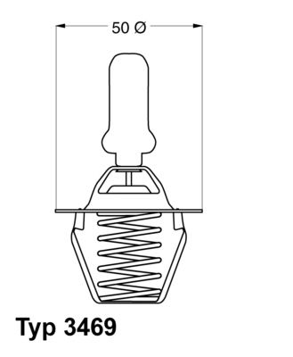 Obrázok Termostat chladenia BorgWarner (Wahler)  346991D