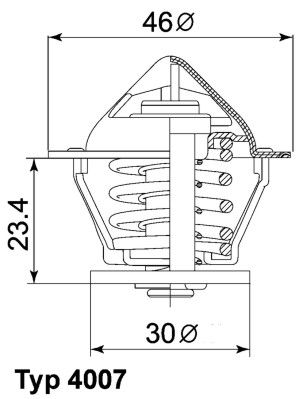 Obrázok Termostat chladenia BorgWarner (Wahler)  400780D