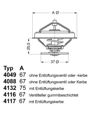 Obrázok Termostat chladenia BorgWarner (Wahler)  404987D
