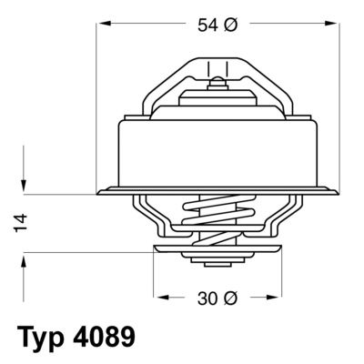 Obrázok Termostat chladenia BorgWarner (Wahler)  408987D
