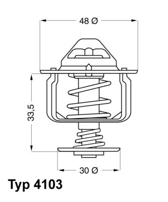 Obrázok Termostat chladenia BorgWarner (Wahler)  410382D