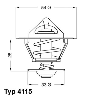 Obrázok Termostat chladenia BorgWarner (Wahler)  411592D