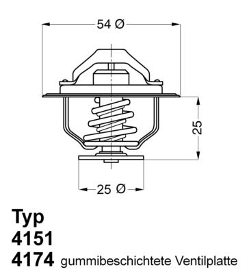 Obrázok Termostat chladenia BorgWarner (Wahler)  417479D