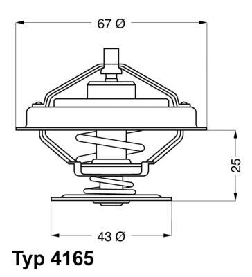 Obrázok Termostat chladenia BorgWarner (Wahler)  416579D