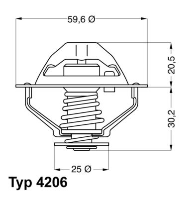 Obrázok Termostat chladenia BorgWarner (Wahler)  420690D