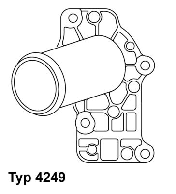 Obrázok Termostat chladenia BorgWarner (Wahler)  424983D
