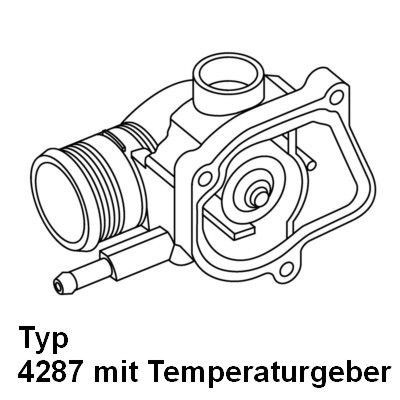 Obrázok Termostat chladenia BorgWarner (Wahler)  428792D