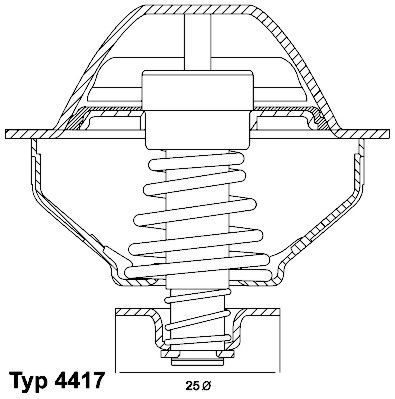 Obrázok Termostat chladenia BorgWarner (Wahler)  441781D
