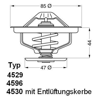 Obrázok Termostat chladenia BorgWarner (Wahler)  452970