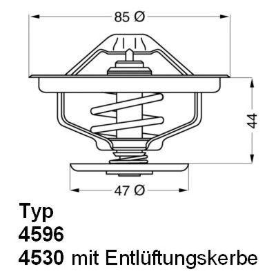 Obrázok Termostat chladenia BorgWarner (Wahler)  459683D