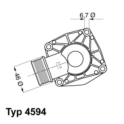Obrázok Termostat chladenia BorgWarner (Wahler)  459490D