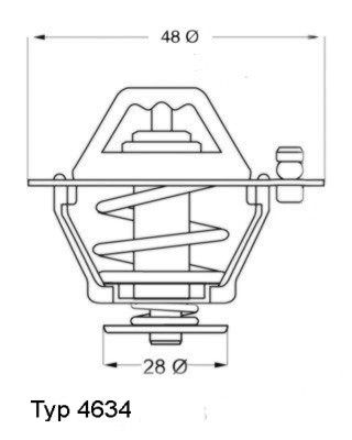 Obrázok Termostat chladenia BorgWarner (Wahler)  463476