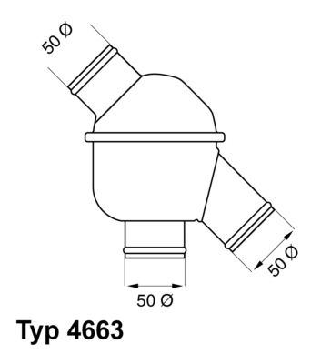 Obrázok Termostat chladenia BorgWarner (Wahler)  4663801