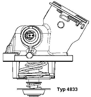 Obrázok Termostat chladenia BorgWarner (Wahler)  4833100D