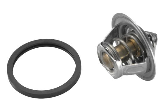 Obrázok Termostat chladenia BorgWarner (Wahler)  301792D2