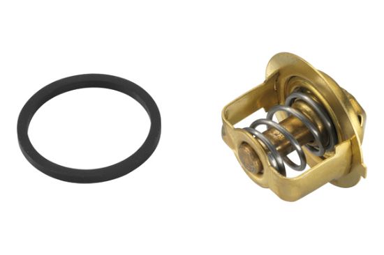 Obrázok Termostat chladenia BorgWarner (Wahler)  303384D