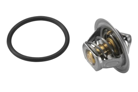 Obrázok Termostat chladenia BorgWarner (Wahler)  309192D