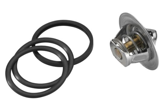 Obrázok Termostat chladenia BorgWarner (Wahler)  313688D50