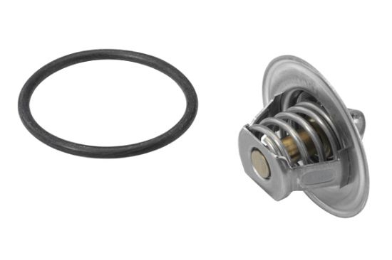 Obrázok Termostat chladenia BorgWarner (Wahler)  314187D