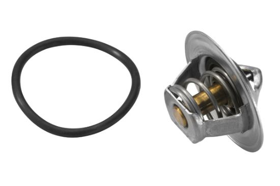 Obrázok Termostat chladenia BorgWarner (Wahler)  316783D