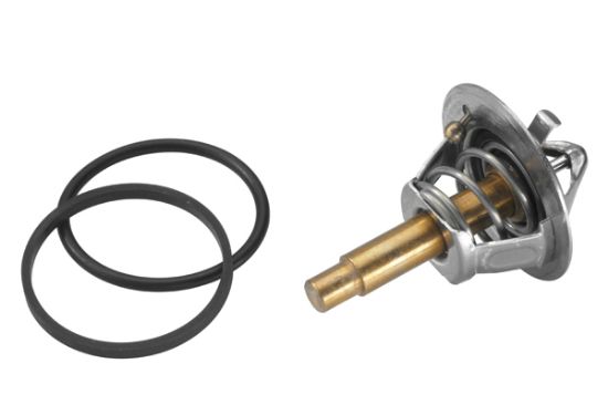 Obrázok Termostat chladenia BorgWarner (Wahler)  345790D