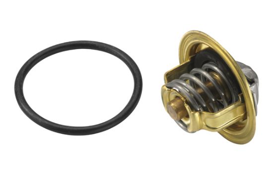 Obrázok Termostat chladenia BorgWarner (Wahler)  347287D