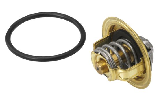 Obrázok Termostat chladenia BorgWarner (Wahler)  41039682D
