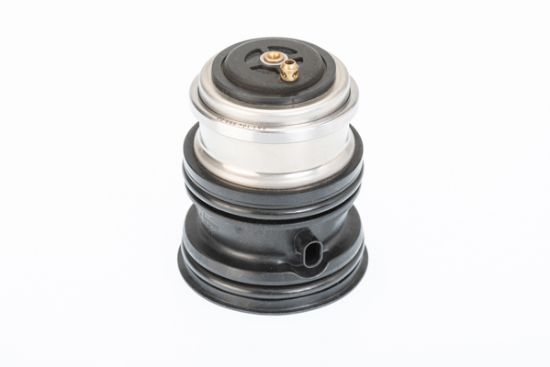 Obrázok Termostat chladenia BorgWarner (Wahler)  410448107D