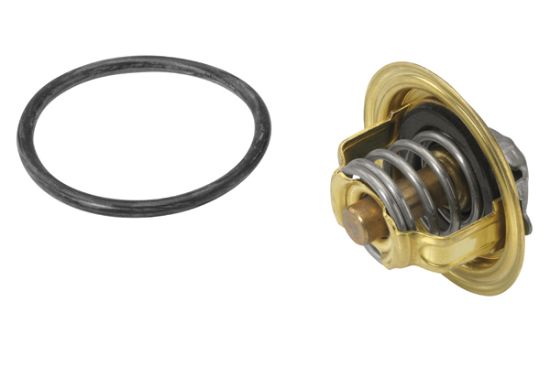 Obrázok Termostat chladenia BorgWarner (Wahler)  41053792D
