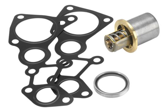Obrázok Termostat chladenia oleja BorgWarner (Wahler)  41076382D