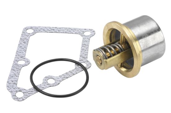 Obrázok Termostat chladenia BorgWarner (Wahler)  41082882D