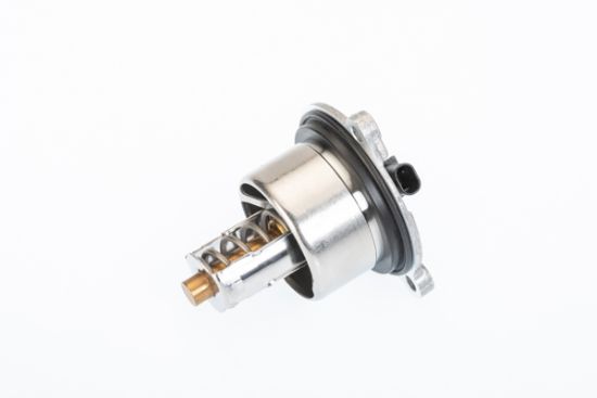 Obrázok Termostat chladenia BorgWarner (Wahler)  411076104D