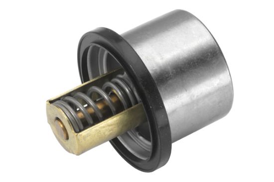 Obrázok Termostat chladenia BorgWarner (Wahler)  41113380D