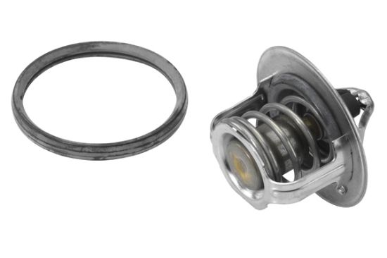 Obrázok Termostat chladenia BorgWarner (Wahler)  41124182D