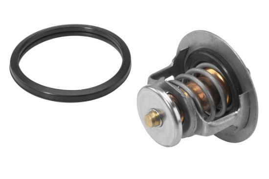 Obrázok Termostat chladenia BorgWarner (Wahler)  41154582D