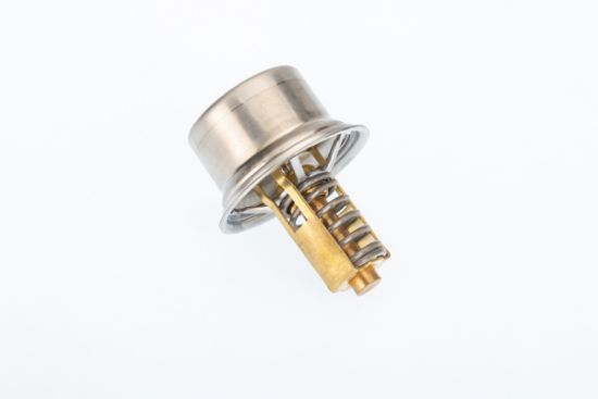 Obrázok Termostat chladenia BorgWarner (Wahler)  41167881D