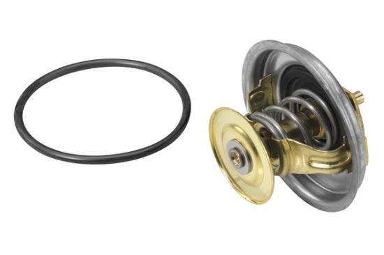 Obrázok Termostat chladenia BorgWarner (Wahler)  411687D1