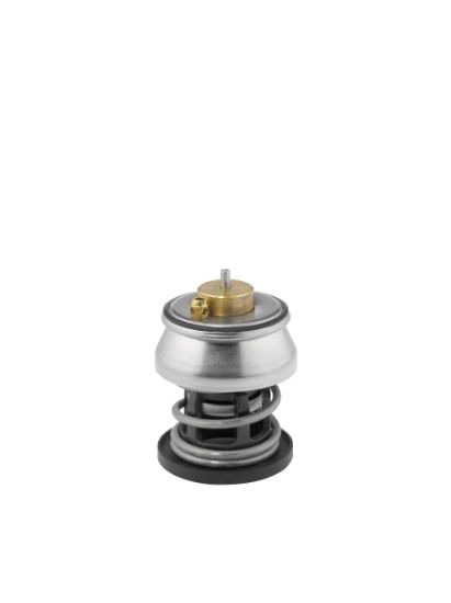 Obrázok Termostat chladenia BorgWarner (Wahler)  41225388D