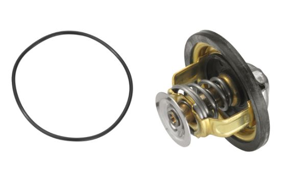 Obrázok Termostat chladenia BorgWarner (Wahler)  417479D