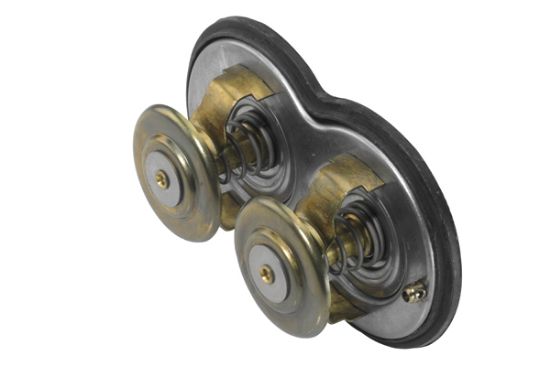 Obrázok Termostat chladenia BorgWarner (Wahler)  422475D