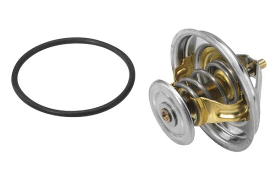 Obrázok Termostat chladenia BorgWarner (Wahler)  423580D