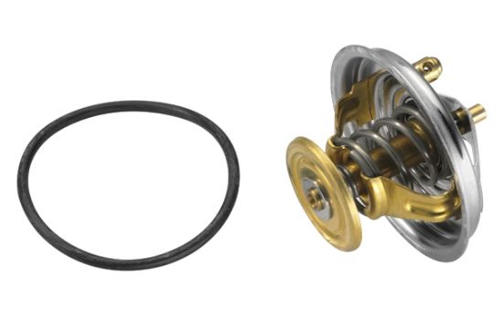Obrázok Termostat chladenia BorgWarner (Wahler)  423780D