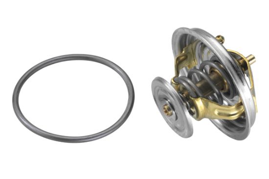 Obrázok Termostat chladenia BorgWarner (Wahler)  427482D