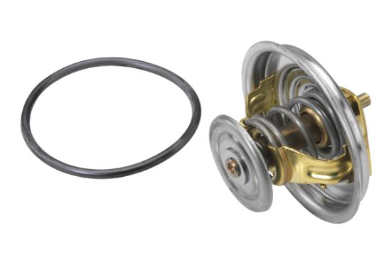 Obrázok Termostat chladenia BorgWarner (Wahler)  427492D