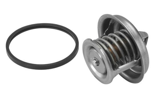 Obrázok Termostat chladenia BorgWarner (Wahler)  444984D