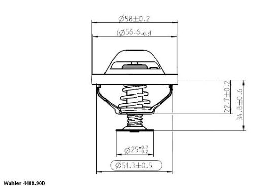 Obrázok Termostat chladenia BorgWarner (Wahler)  448990D