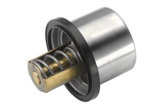 Obrázok Termostat chladenia BorgWarner (Wahler)  461980