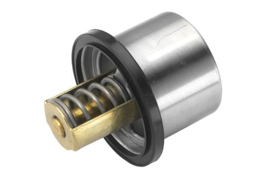 Obrázok Termostat chladenia BorgWarner (Wahler)  461982