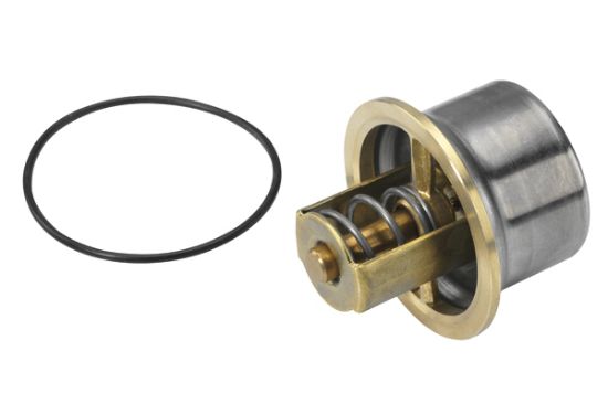 Obrázok Termostat chladenia BorgWarner (Wahler)  462180D